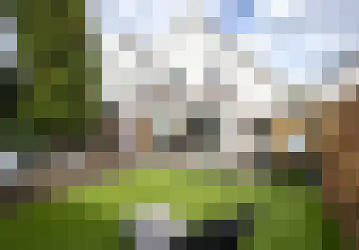 Broekmorgen 5 Uden thumbnail 4