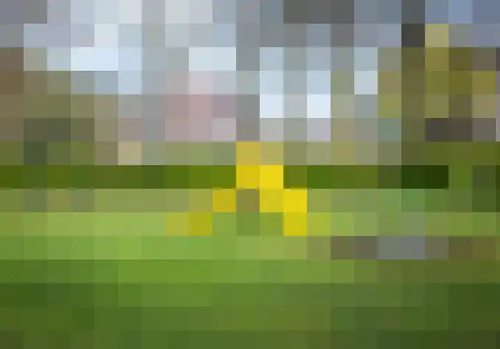 Broekmorgen 5 Uden thumbnail 40