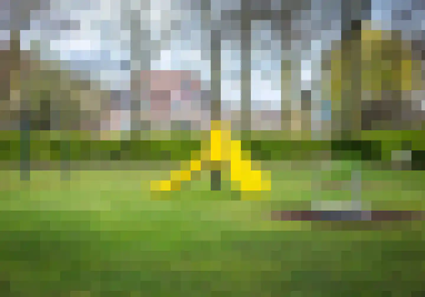 Broekmorgen 5 Uden thumbnail 40