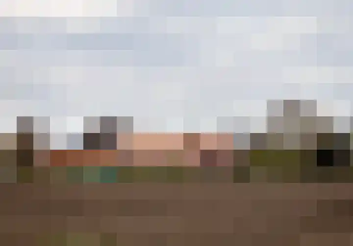 Broekmorgen 5 Uden thumbnail 42