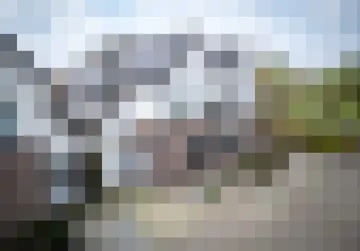 Broekmorgen 5 Uden thumbnail 6