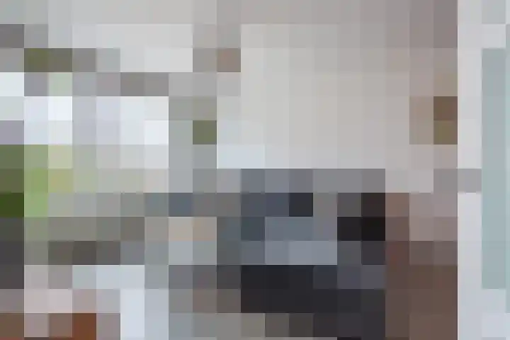 Broekmorgen 53 Uden thumbnail 11