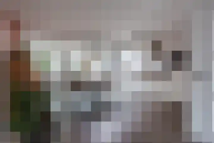 Broekmorgen 53 Uden thumbnail 15