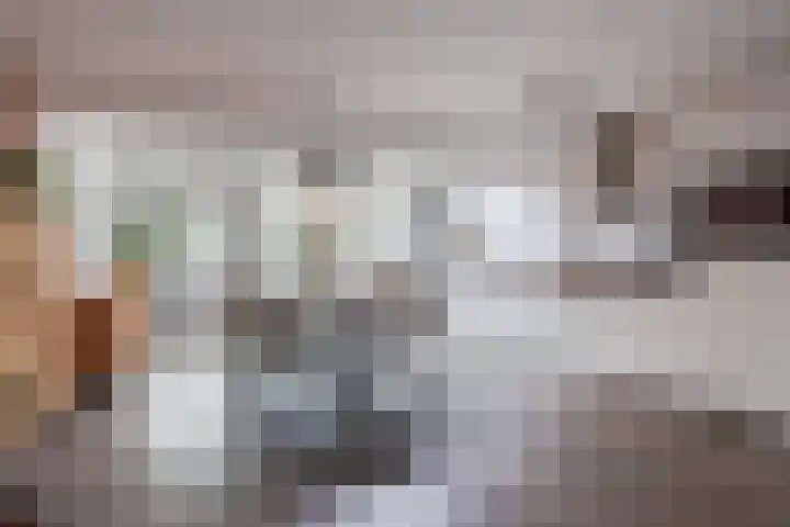 Broekmorgen 53 Uden thumbnail 16