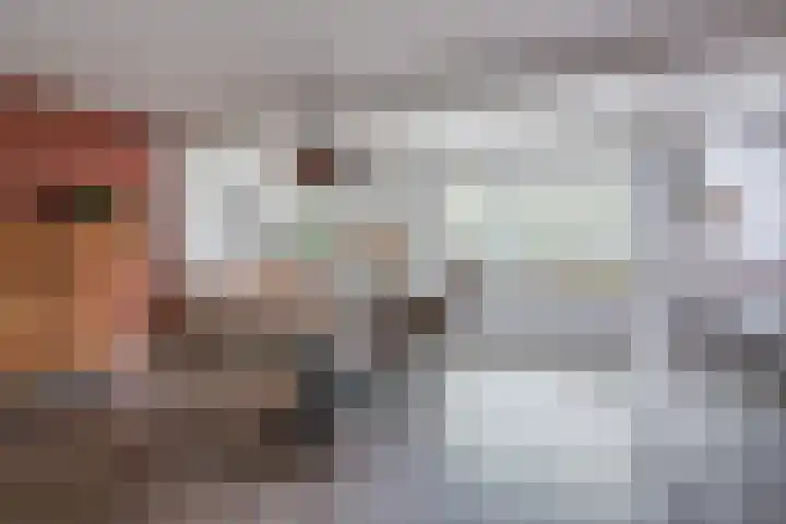 Broekmorgen 53 Uden thumbnail 17