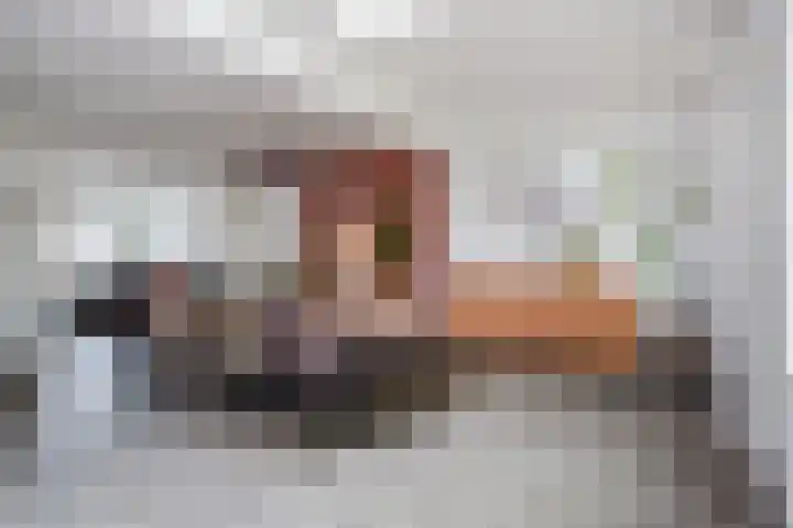 Broekmorgen 53 Uden thumbnail 18