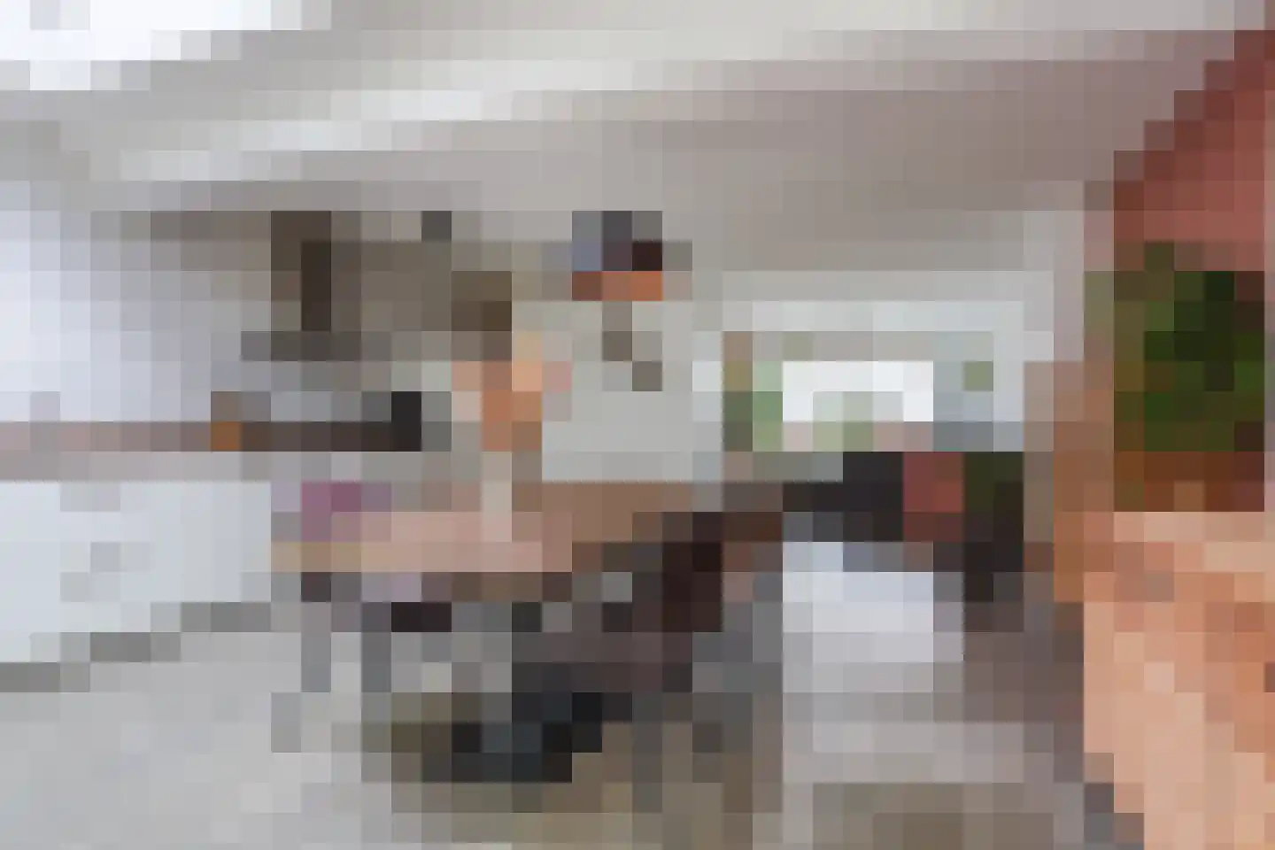 Broekmorgen 53 Uden thumbnail 19
