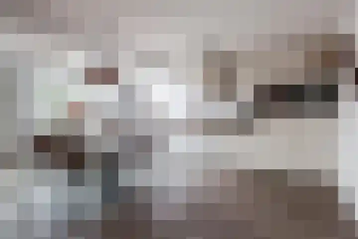 Broekmorgen 53 Uden thumbnail 20