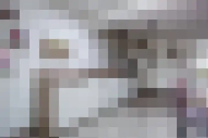 Broekmorgen 53 Uden thumbnail 22
