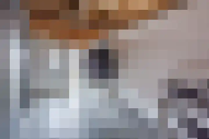 Broekmorgen 53 Uden thumbnail 23