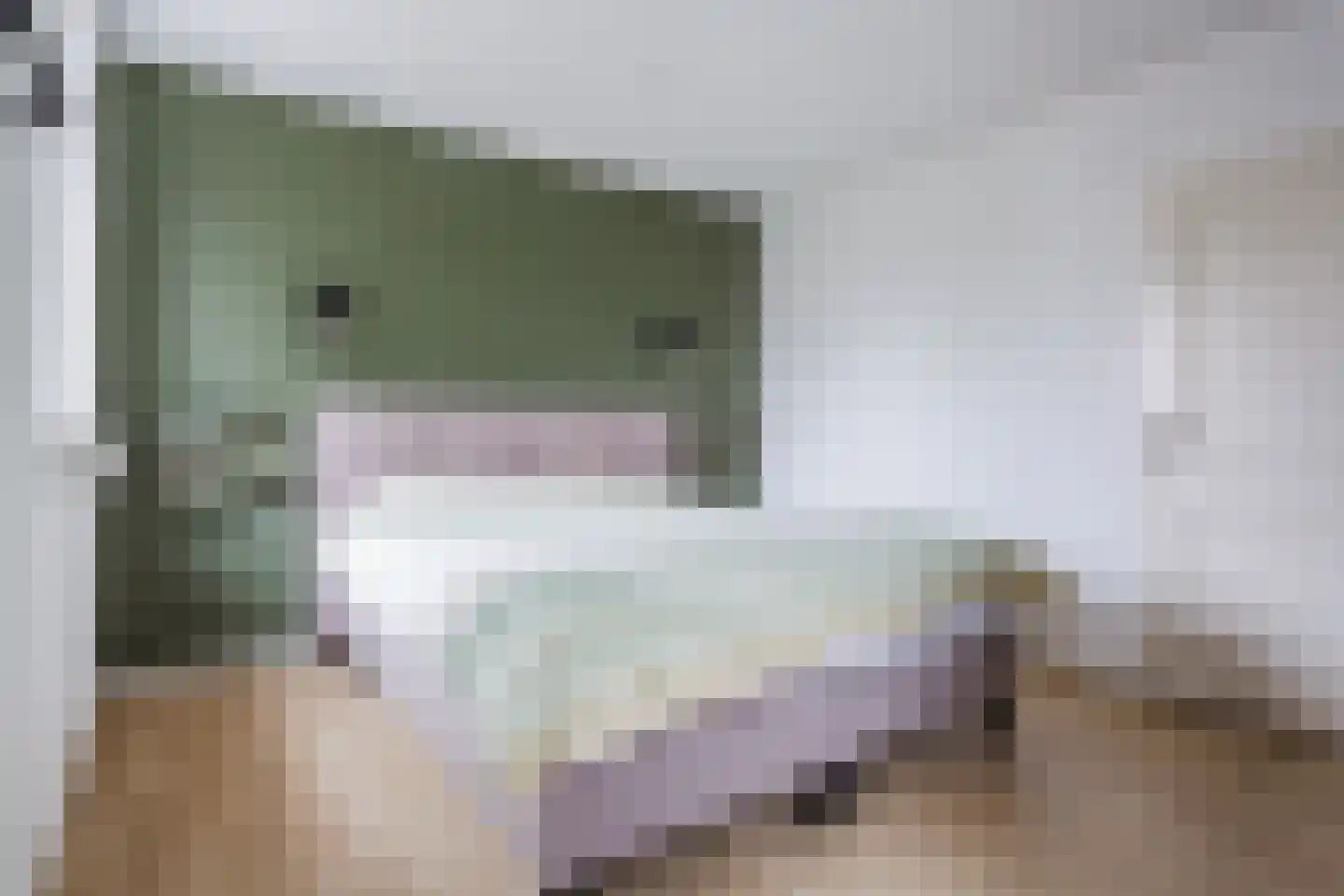 Broekmorgen 53 Uden thumbnail 25