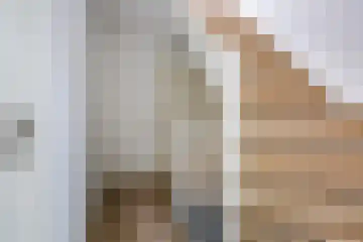 Broekmorgen 53 Uden thumbnail 25