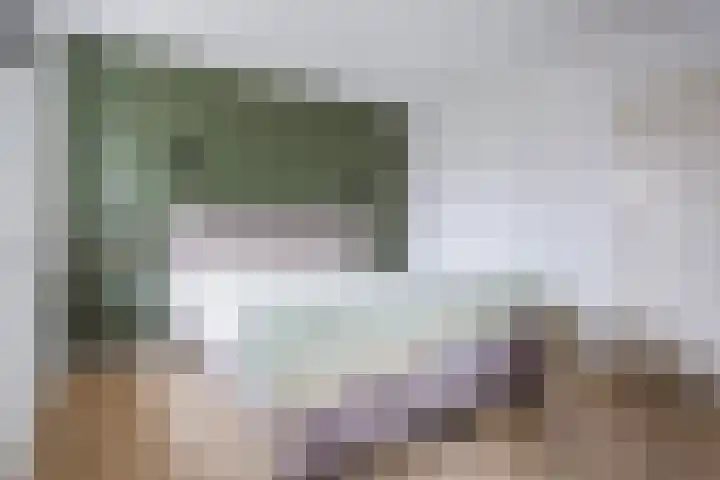 Broekmorgen 53 Uden thumbnail 27