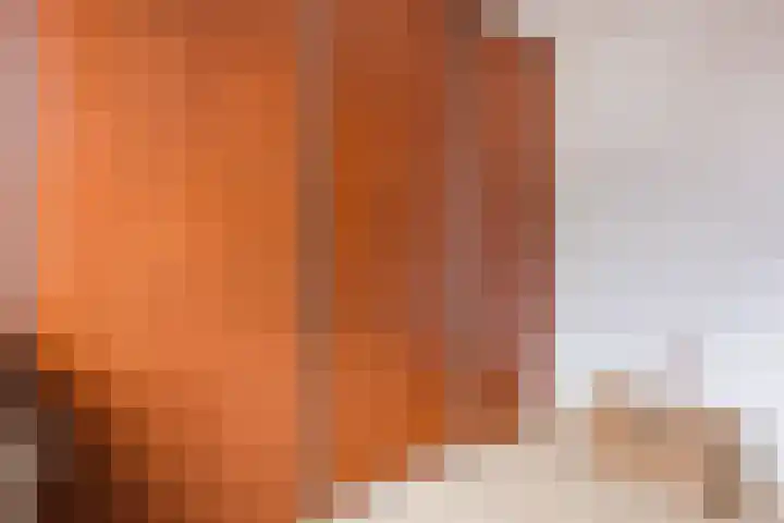 Broekmorgen 53 Uden thumbnail 31