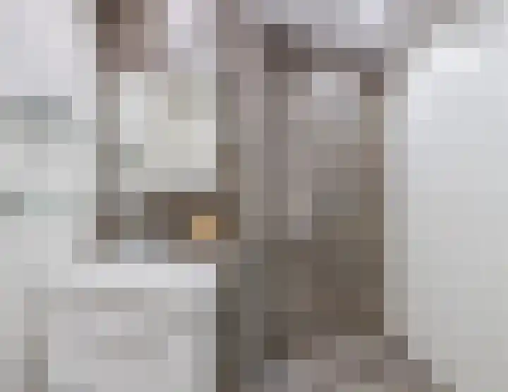 Broekmorgen 53 Uden thumbnail 36