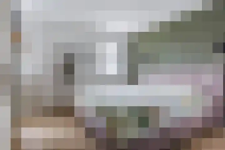 Broekmorgen 53 Uden thumbnail 4