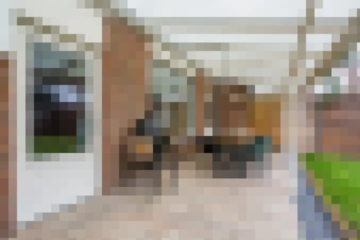 Broekmorgen 53 Uden thumbnail 41