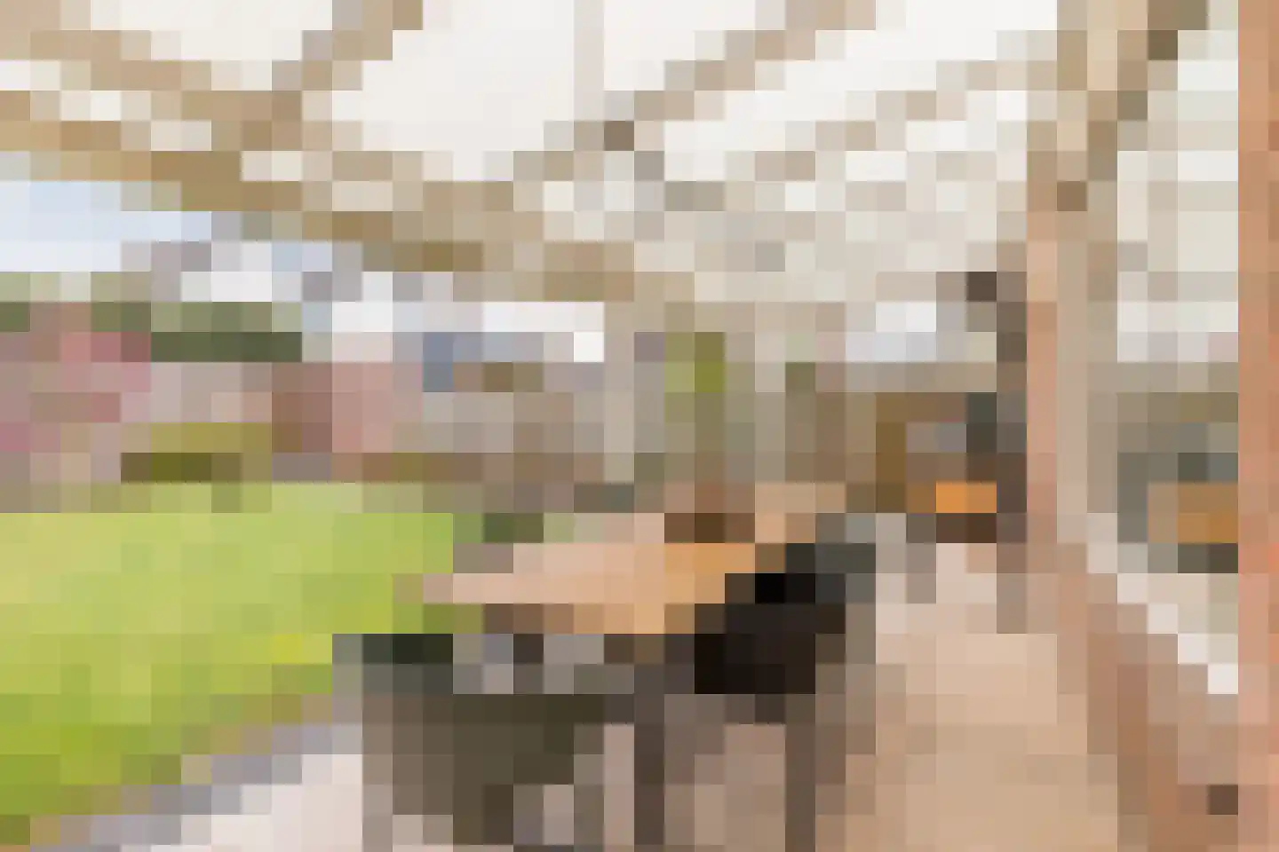 Broekmorgen 53 Uden thumbnail 42