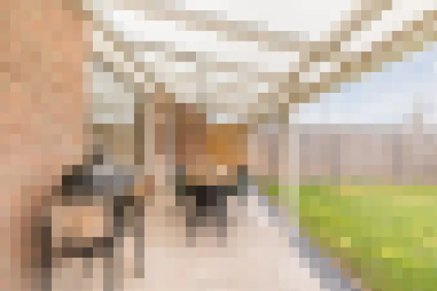 Broekmorgen 53 Uden thumbnail 43