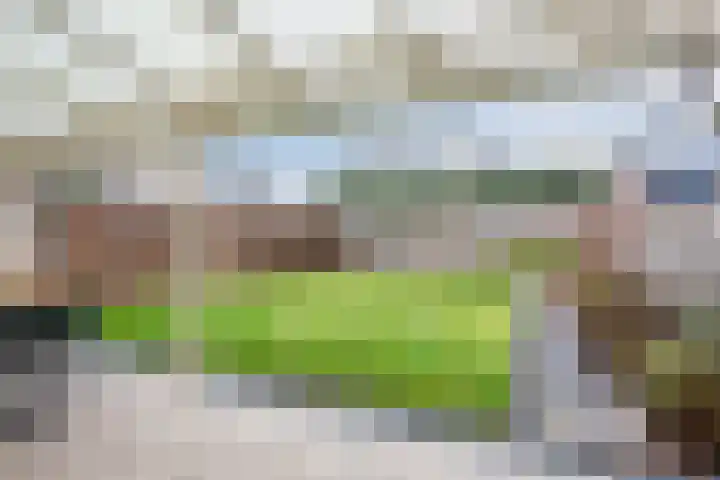 Broekmorgen 53 Uden thumbnail 43