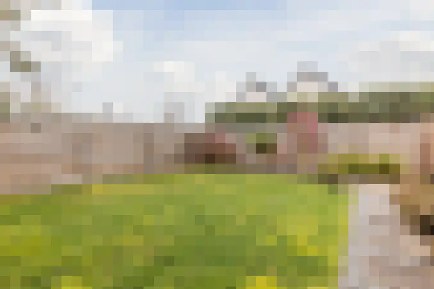 Broekmorgen 53 Uden thumbnail 44