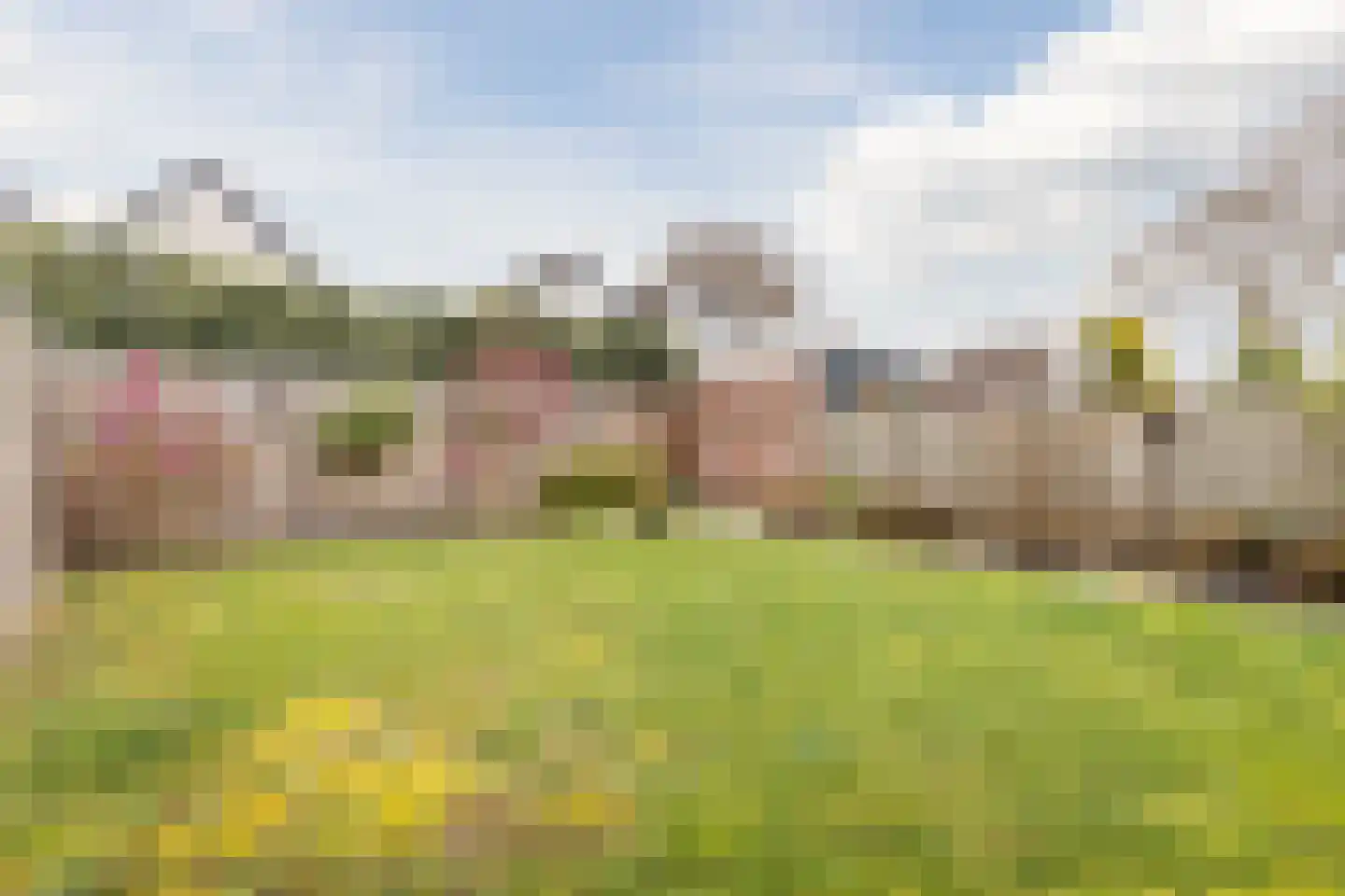 Broekmorgen 53 Uden thumbnail 45