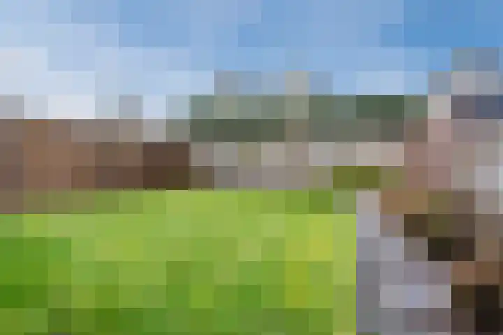 Broekmorgen 53 Uden thumbnail 45