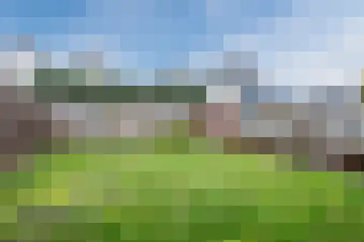 Broekmorgen 53 Uden thumbnail 46