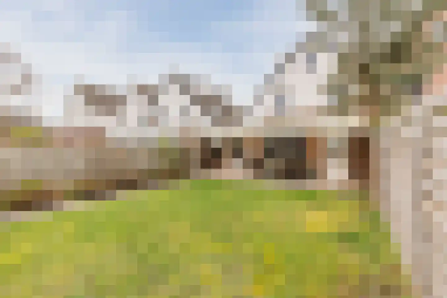 Broekmorgen 53 Uden thumbnail 46