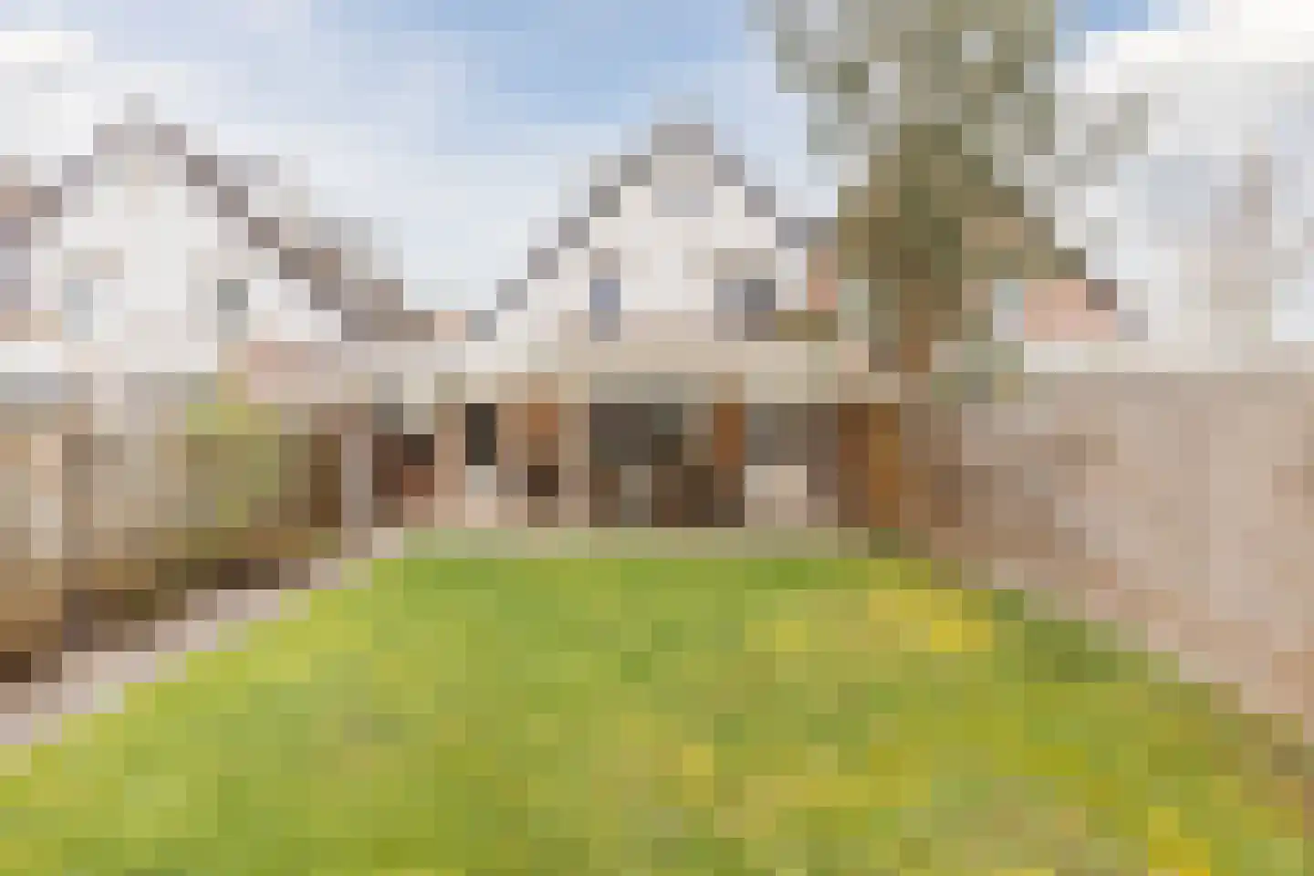 Broekmorgen 53 Uden thumbnail 47