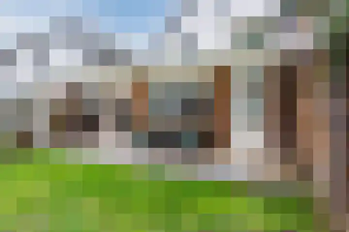 Broekmorgen 53 Uden thumbnail 48