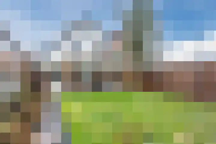 Broekmorgen 53 Uden thumbnail 50