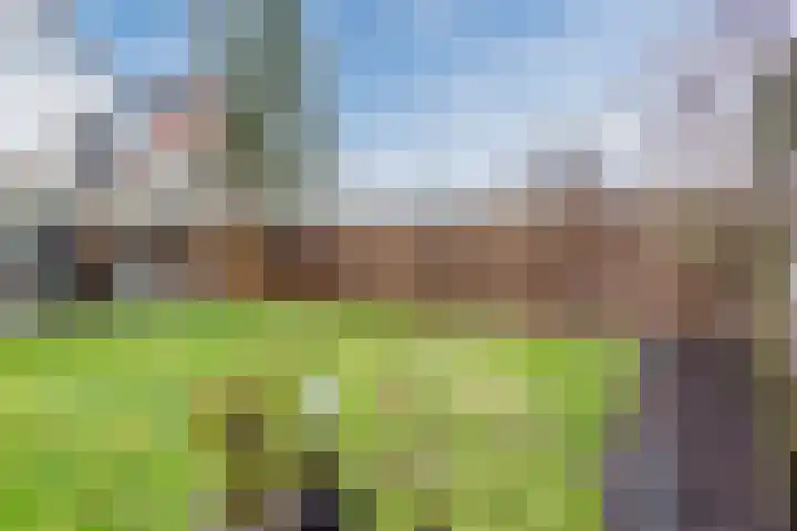 Broekmorgen 53 Uden thumbnail 51