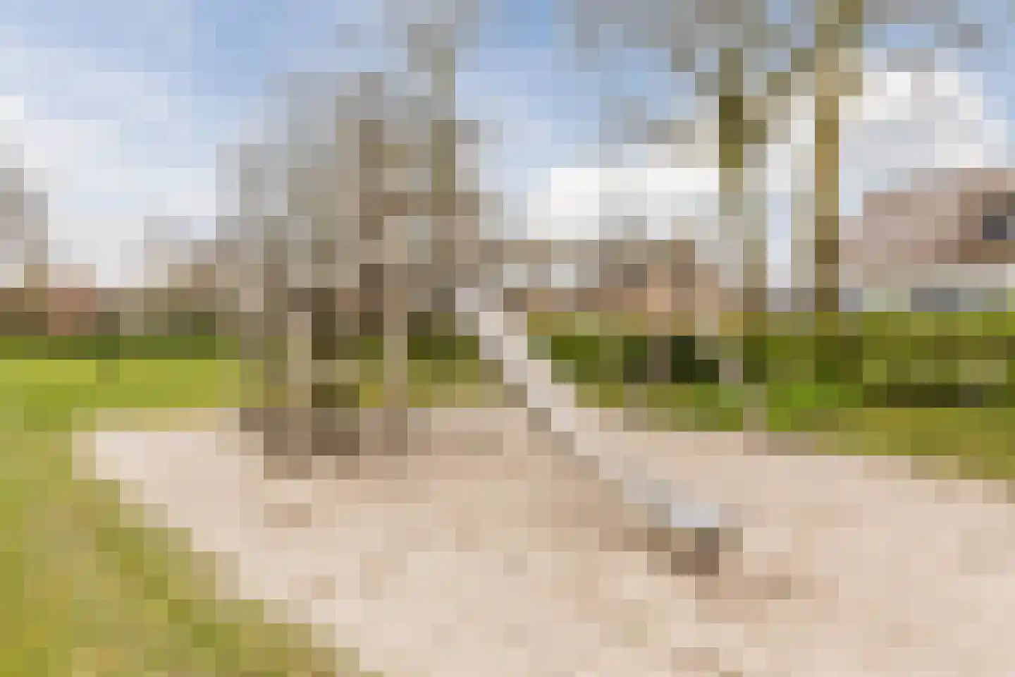 Broekmorgen 53 Uden thumbnail 51