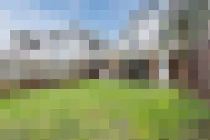 Broekmorgen 53 Uden thumbnail 52