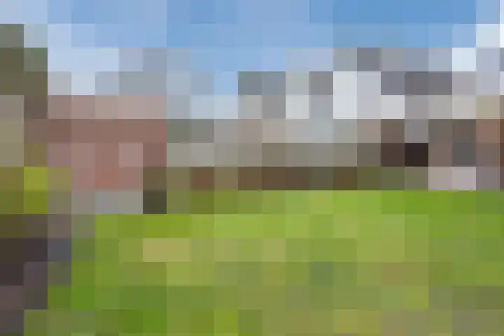 Broekmorgen 53 Uden thumbnail 53