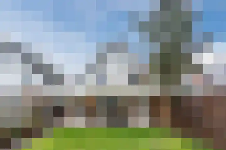 Broekmorgen 53 Uden thumbnail 54