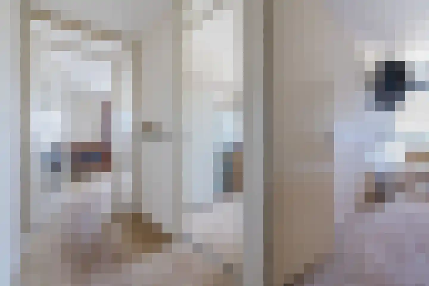 Broekmorgen 73 Uden thumbnail 24