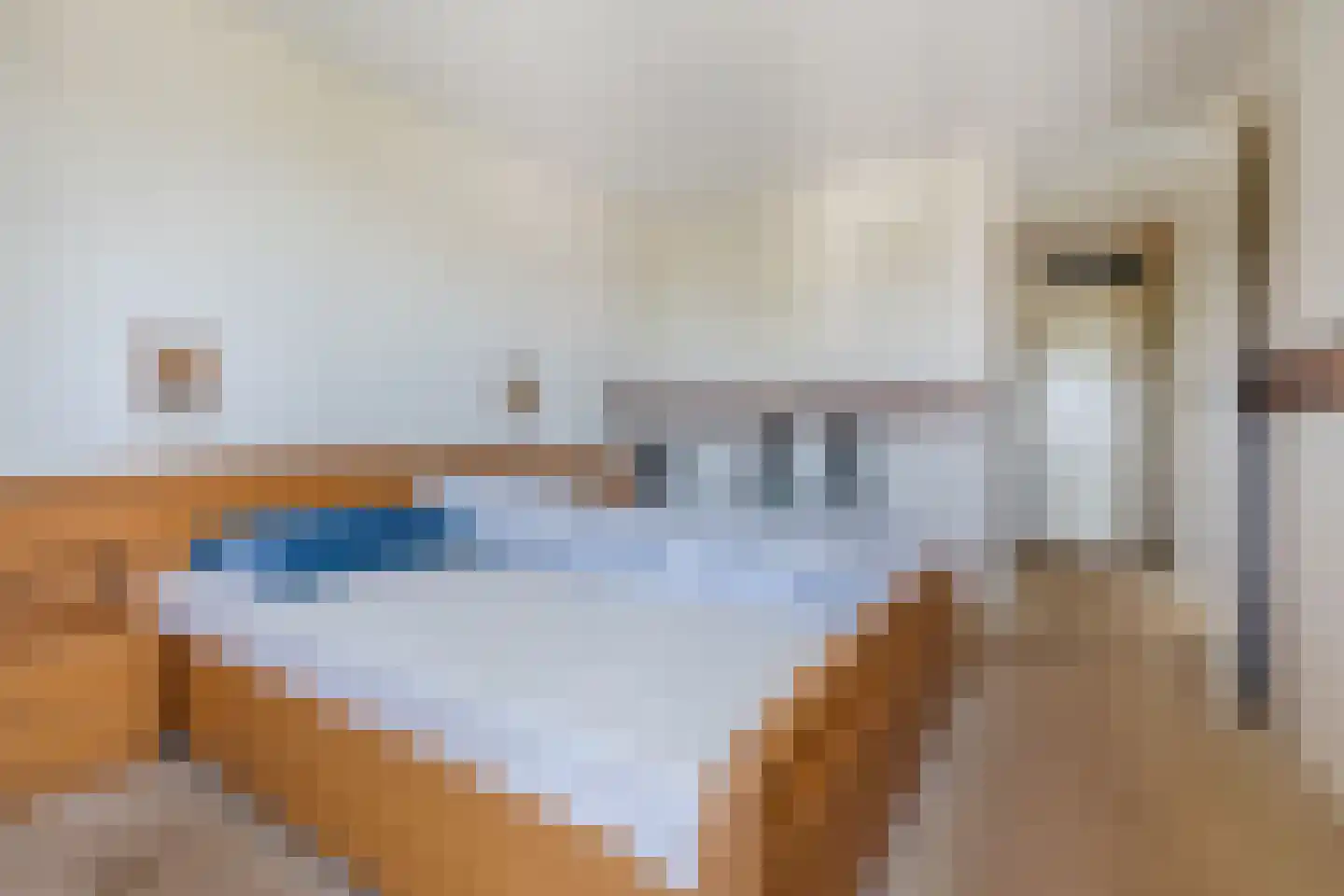 Broekmorgen 73 Uden thumbnail 28