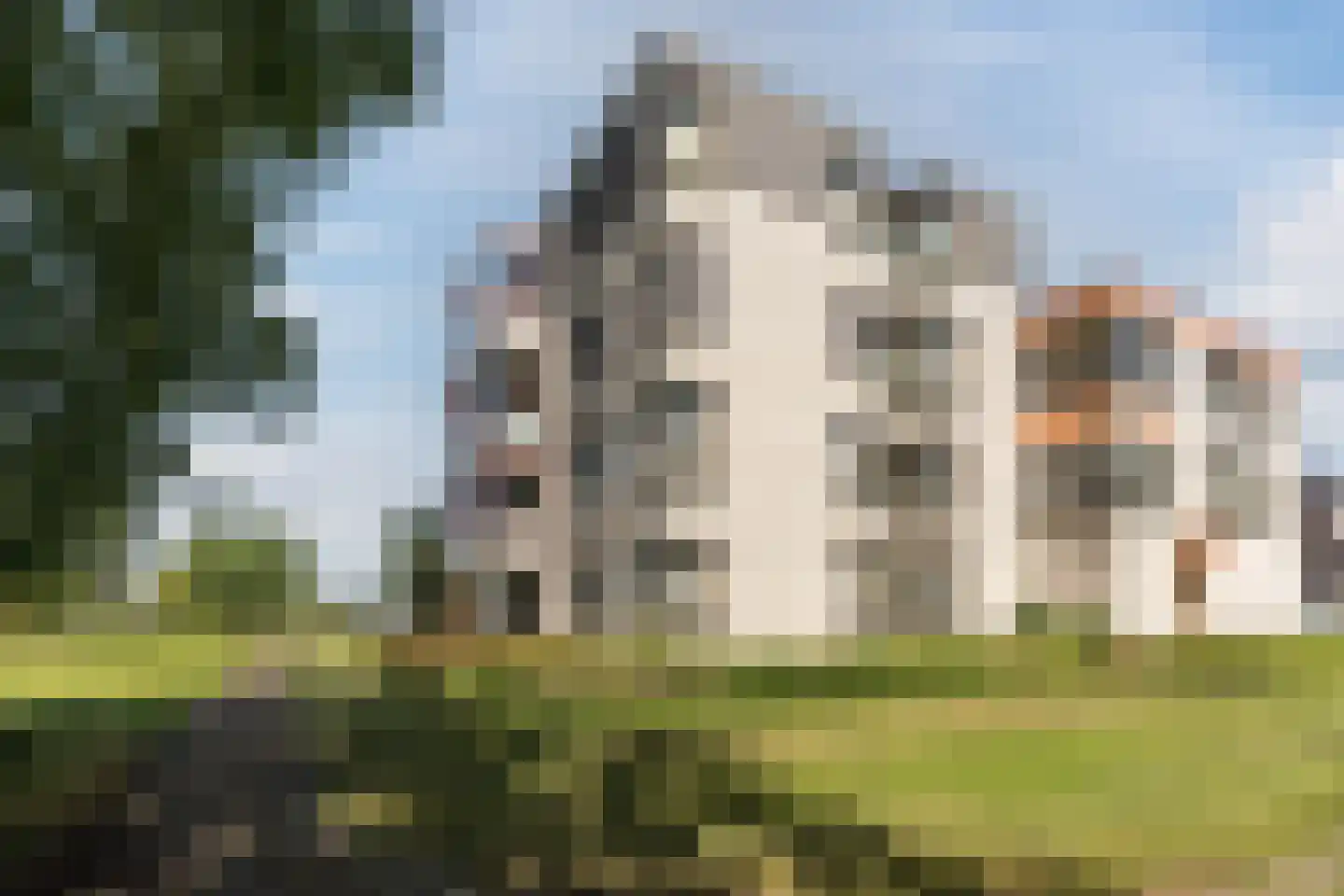 Broekmorgen 73 Uden thumbnail 35