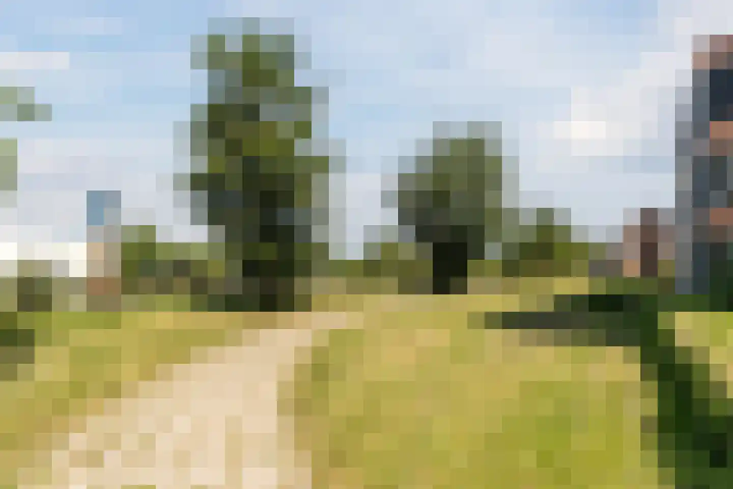 Broekmorgen 73 Uden thumbnail 37