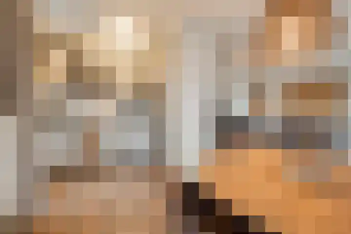 Broekmorgen 83 Uden thumbnail 10