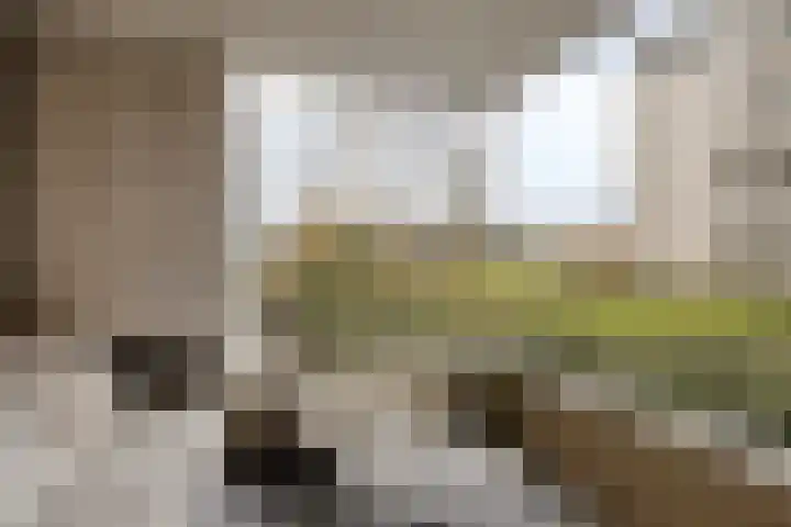 Broekmorgen 83 Uden thumbnail 14