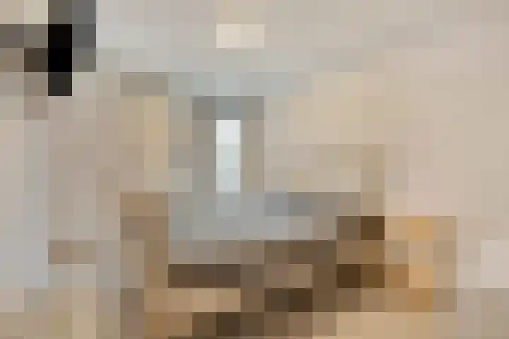 Broekmorgen 83 Uden thumbnail 16