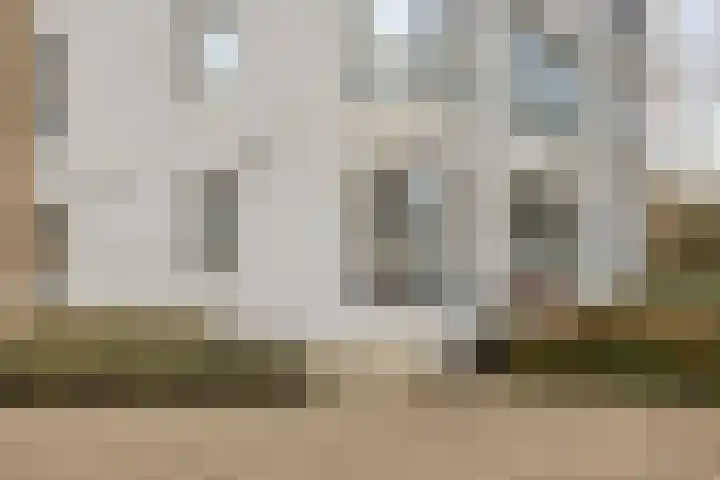 Broekmorgen 83 Uden thumbnail 22