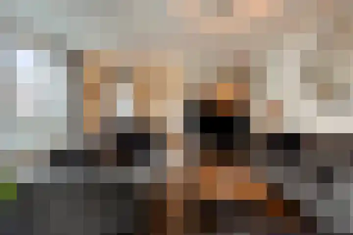 Broekmorgen 83 Uden thumbnail 6