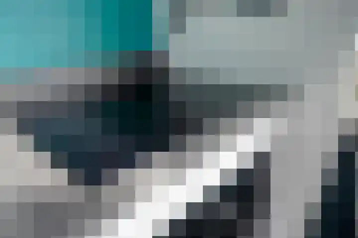 Broekmorgen 95 Uden thumbnail 15