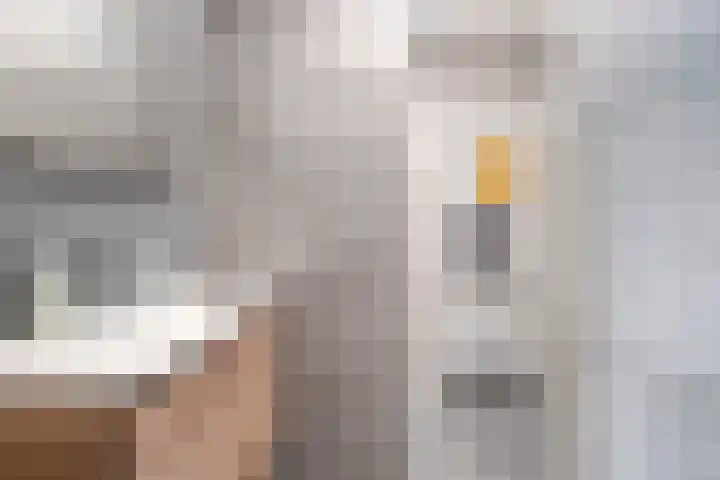 Broekmorgen 95 Uden thumbnail 20