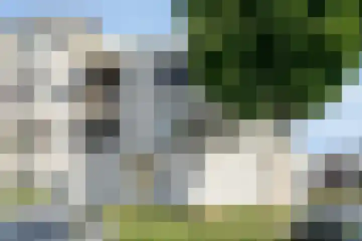 Broekmorgen 95 Uden thumbnail 29