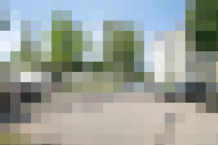 Broekmorgen 95 Uden thumbnail 30